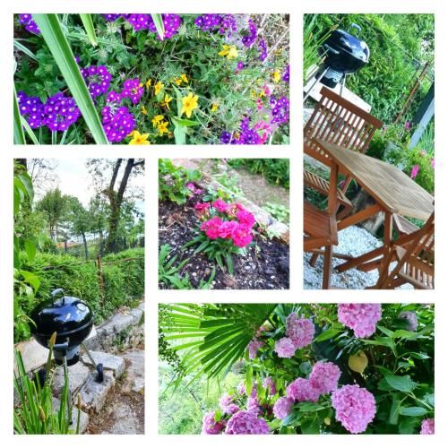Outdoor Pictures 1