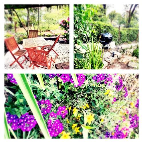 Outdoor Pictures 2