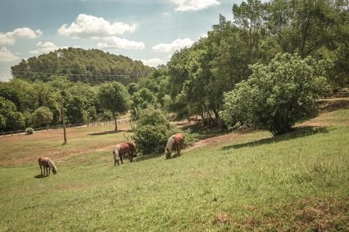 Villa Terrubi Beautiful authentic bastide nestled in the vineyards