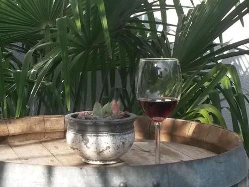 Outdoor Pictures 1