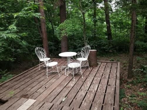 Outdoor Pictures 1