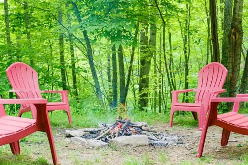 Outdoor Pictures 4
