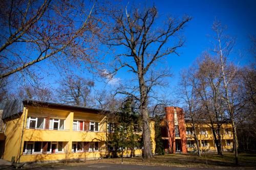 Outdoor Pictures 12