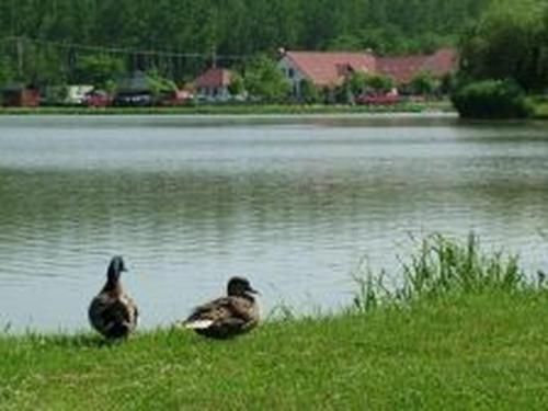 Outdoor Pictures 5