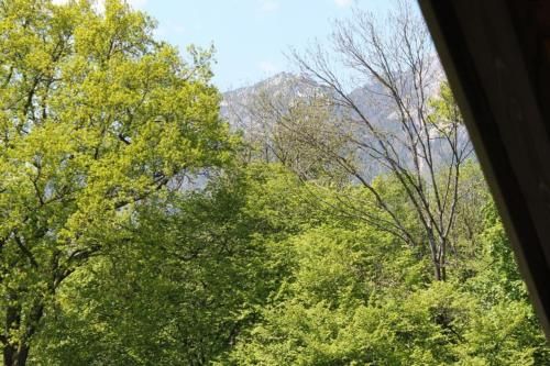 Outdoor Pictures 4