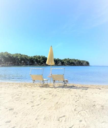 DIEHOLIDAYBUCHT