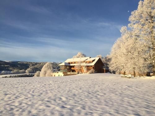 Bio - Hotel - Alpengasthof Koralpenblick