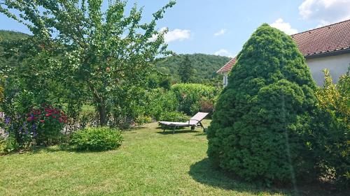 Outdoor Pictures 1