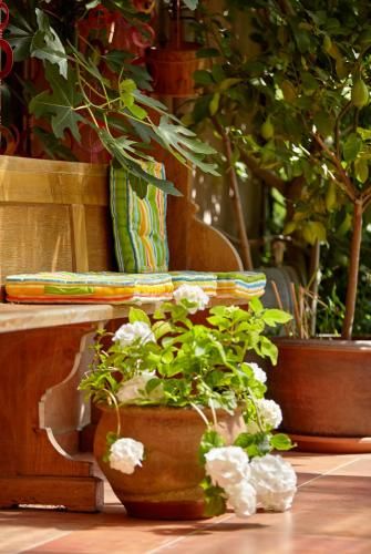 Outdoor Pictures 2