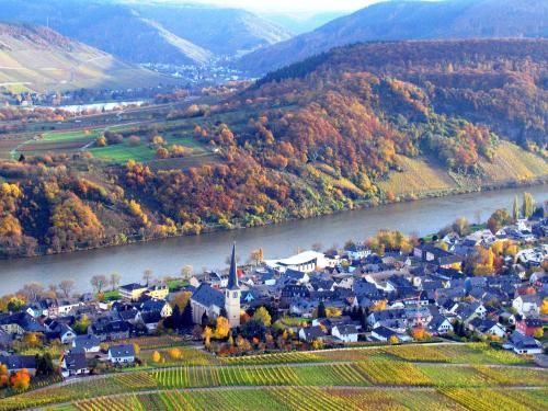 Ferienweingut Rainer Beitzel