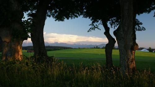Outdoor Pictures 4