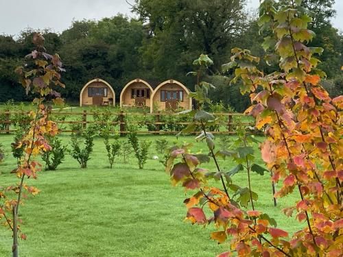Southwell Retreat Glamping Pods