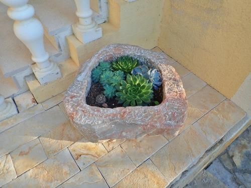 Outdoor Pictures 5