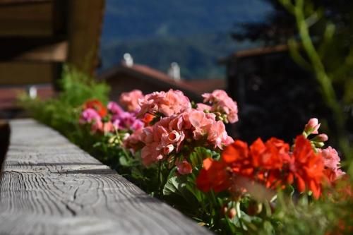 Outdoor Pictures 2