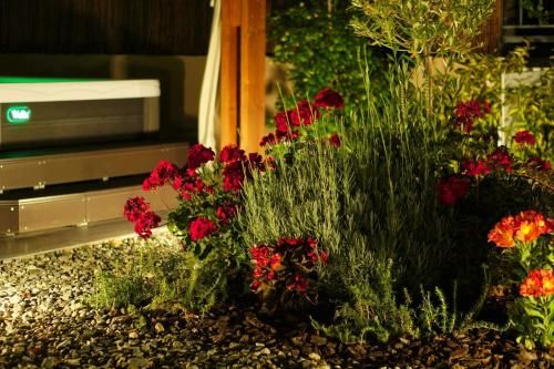 Outdoor Pictures 4