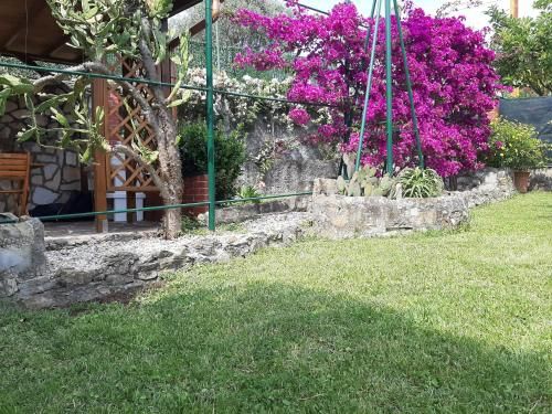 Outdoor Pictures 3