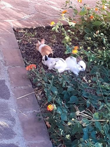Outdoor Pictures 5