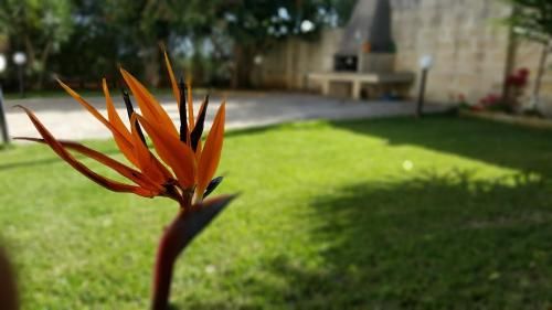 Outdoor Pictures 2