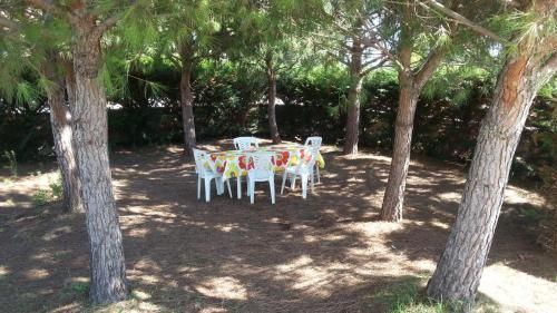 Outdoor Pictures 3
