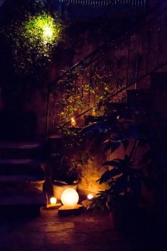 Outdoor Pictures 1