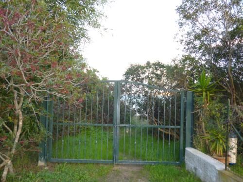 Outdoor Pictures 1