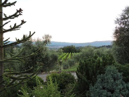 Outdoor Pictures 7