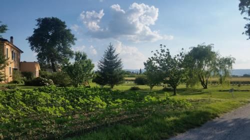 Outdoor Pictures 23