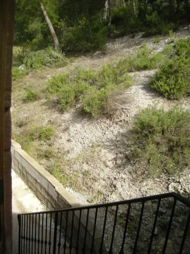Outdoor Pictures 3