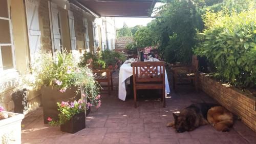 Outdoor Pictures 9