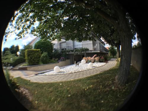Outdoor Pictures 3
