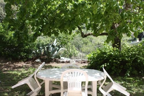Outdoor Pictures 5