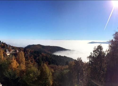 Le Belvedere