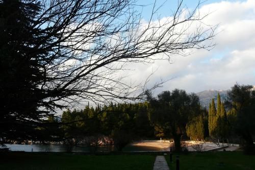 Outdoor Pictures 3
