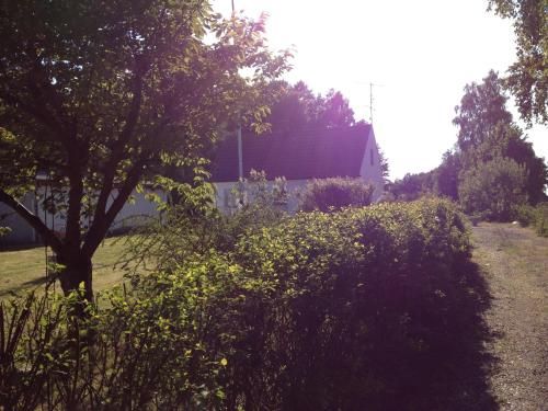 Outdoor Pictures 4