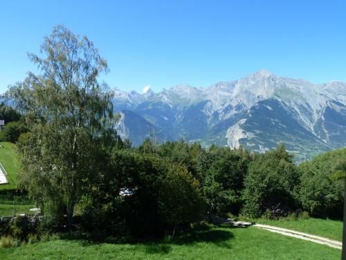 Outdoor Pictures 5