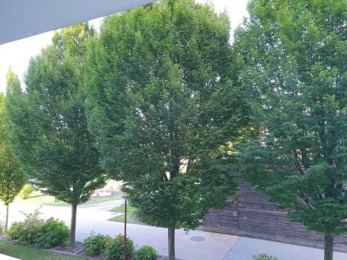Outdoor Pictures 4