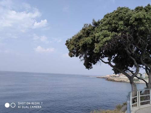 Studio Sausset les pins