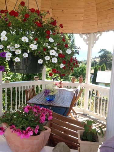 Outdoor Pictures 1