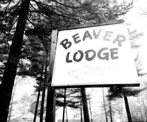 Eunica's Beaver Lodge