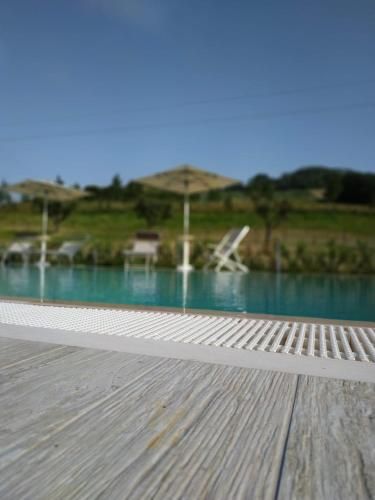 Outdoor Pictures 3