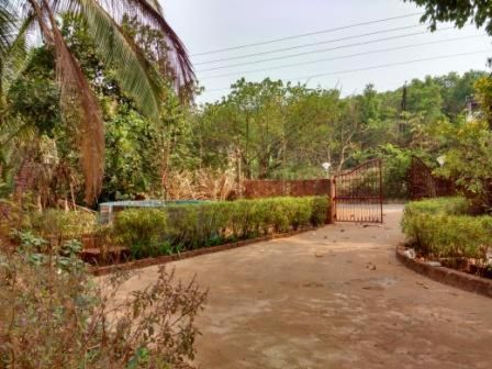 Outdoor Pictures 3