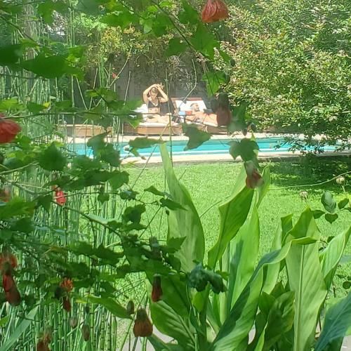 Outdoor Pictures 8
