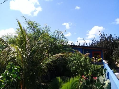 Hopi Cadushi Studio