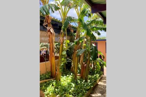 Caribbean Cozy Cove