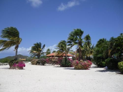 Oceanfront Townhome in Marazul Dive Resort