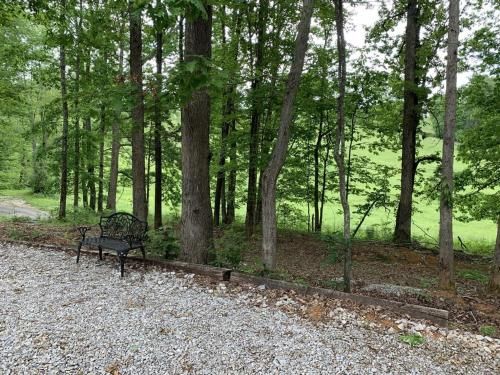 Outdoor Pictures 3