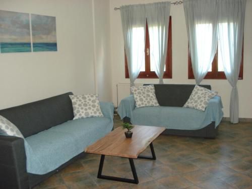 Orange Garden ( guesthouse)