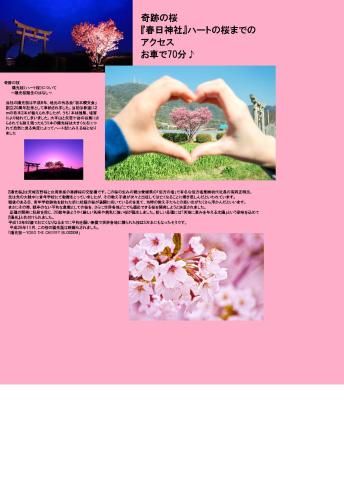 Outdoor Pictures 5