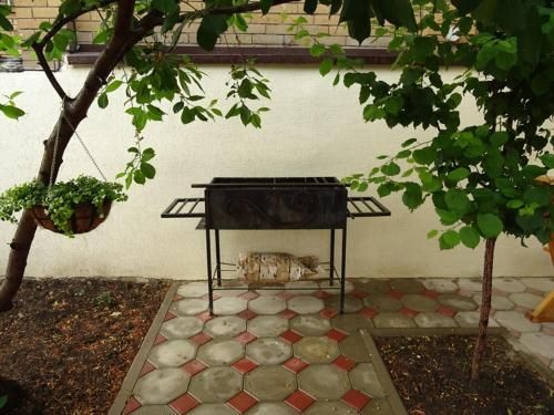Outdoor Pictures 4