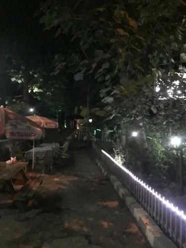 Saray otel restaurant